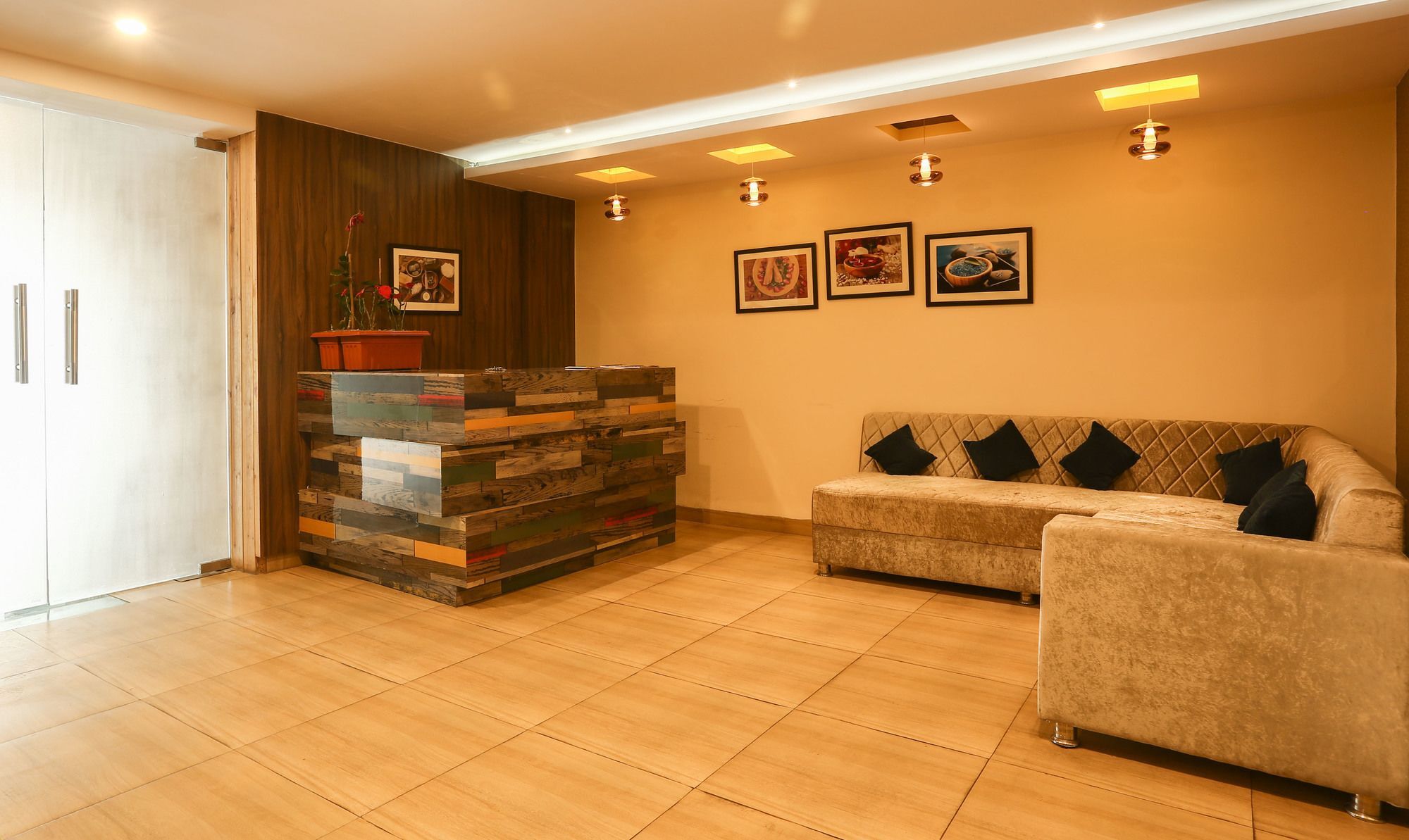 Treebo Trend Gk Conifer Hotel Dharamszala Kültér fotó